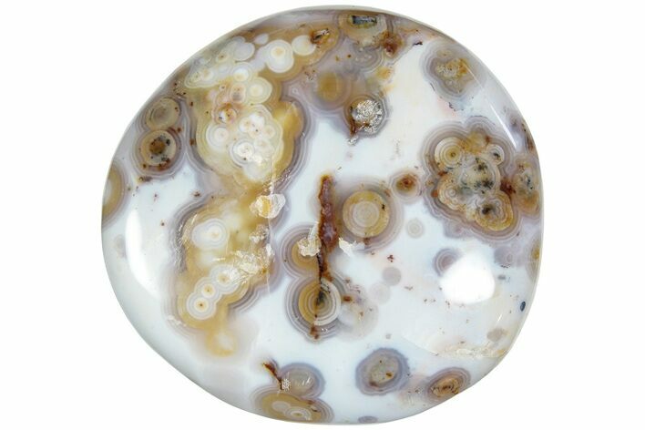 Polished Ocean Jasper Stone - New Deposit #223006